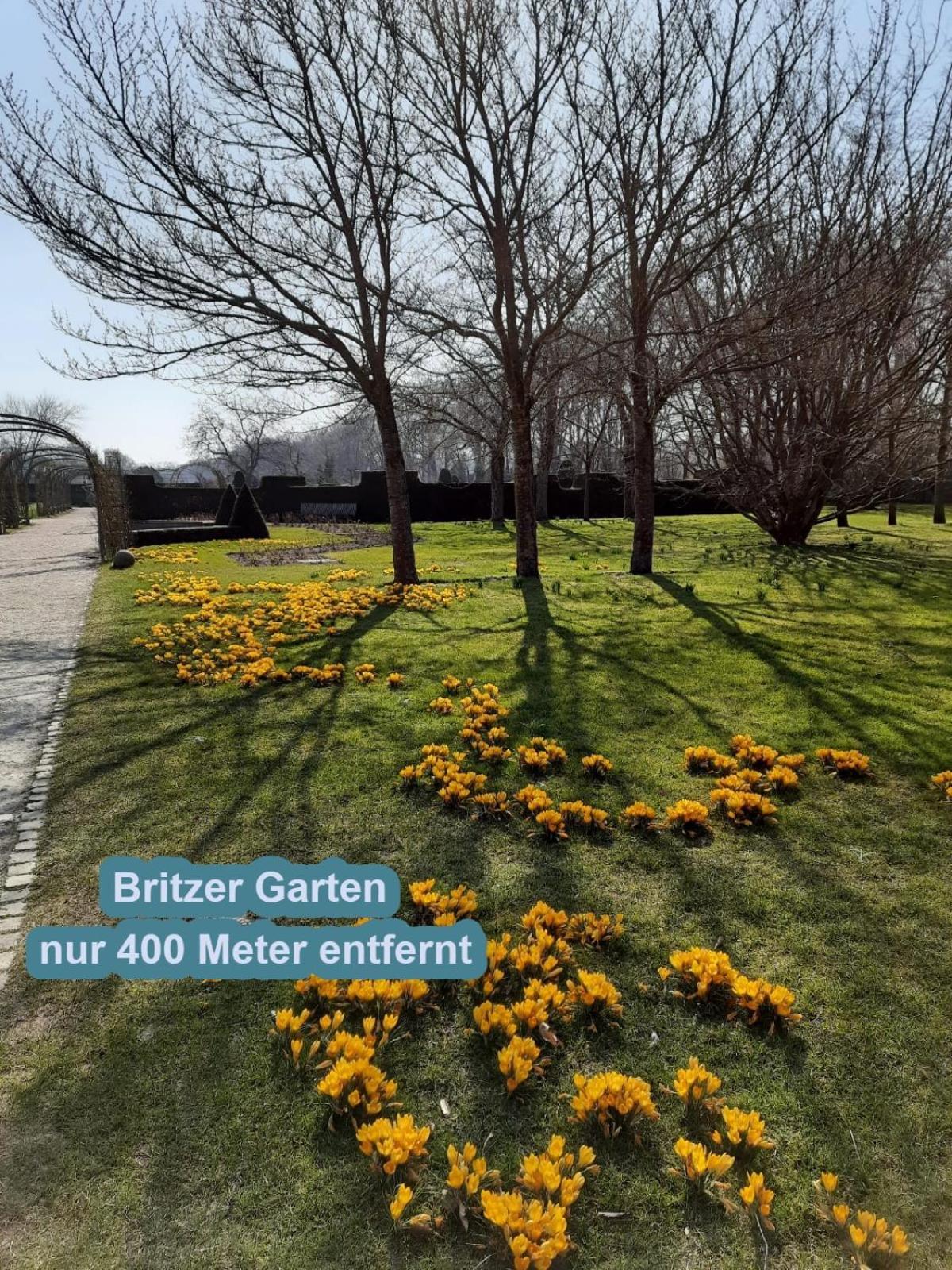 4 Sterne Souterrain Apartment Alt-Mariendorf 柏林 外观 照片
